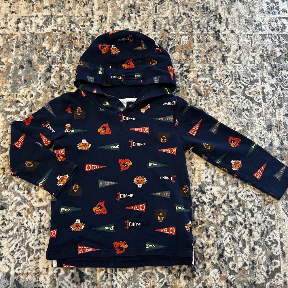 Hooded tshirt